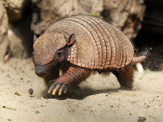 Non-Authoritative Information