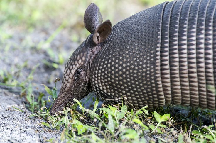 Proxy Authentication Required