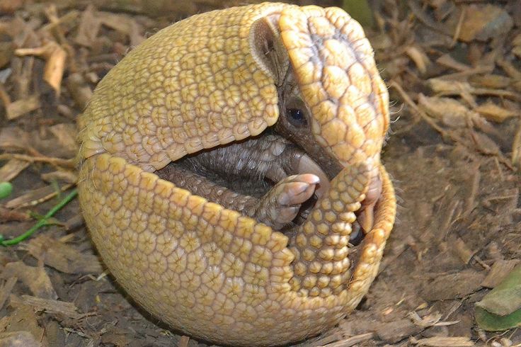 Unsupported Media Type