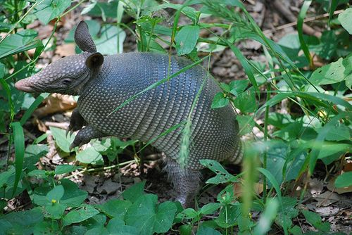 Range Not Satisfiable