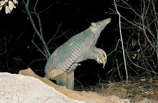 Unprocessable Entity