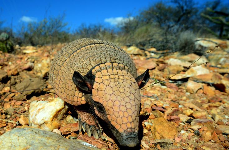 Unavailable For Legal Reasons