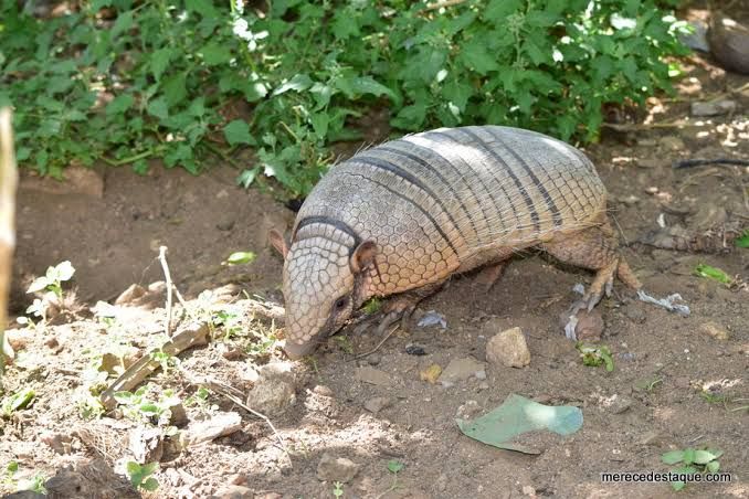 HTTP Version Not Supported