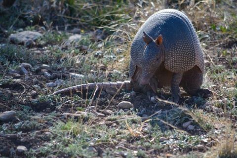 Network Authentication Required