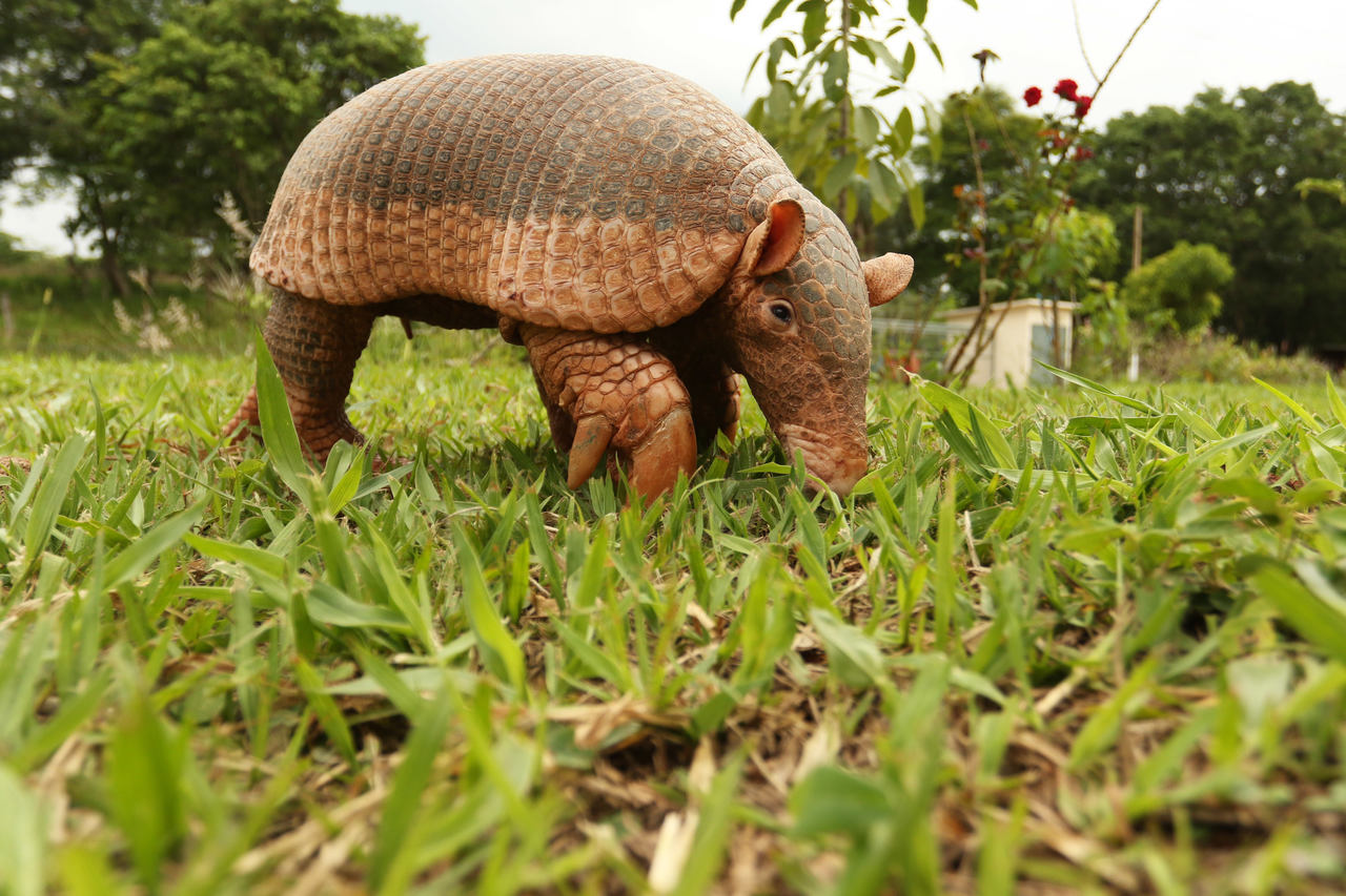 Connection Timed Out