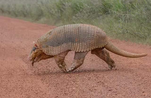 Origin Is Unreachable