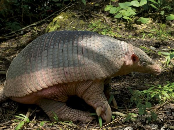 Network Connect Timeout Error